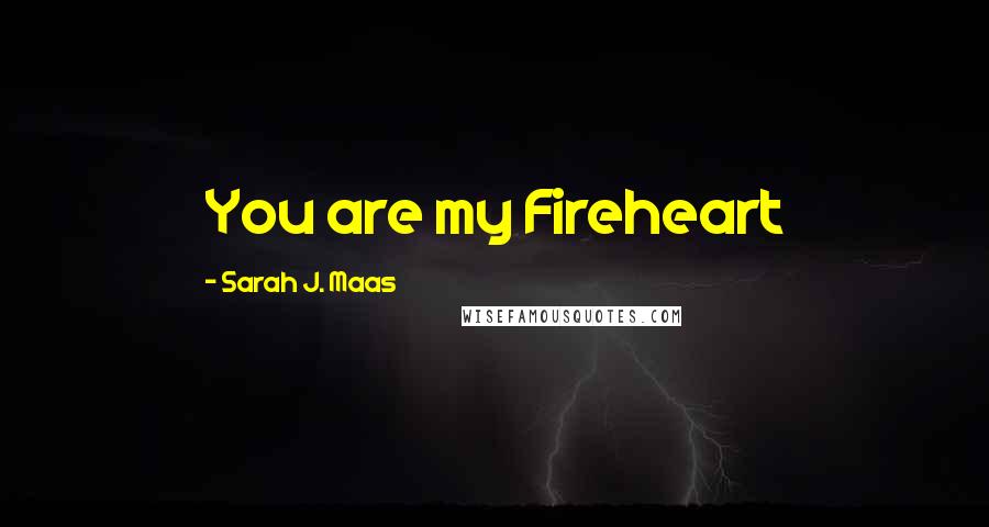 Sarah J. Maas Quotes: You are my Fireheart