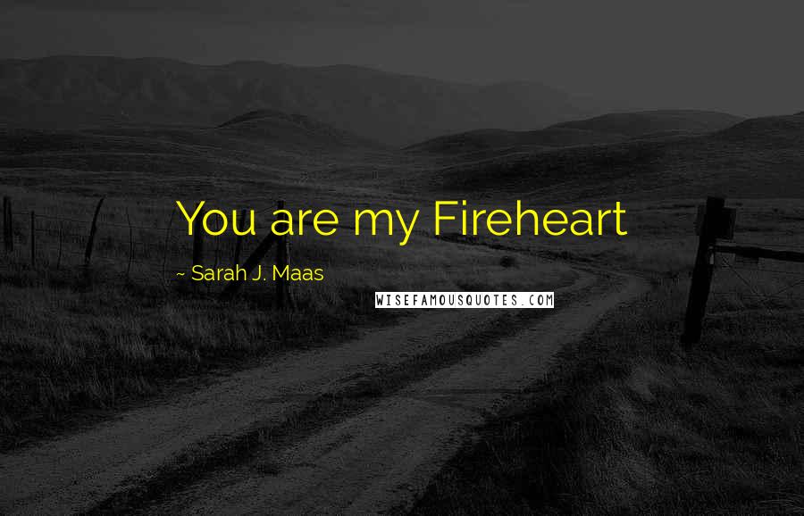 Sarah J. Maas Quotes: You are my Fireheart