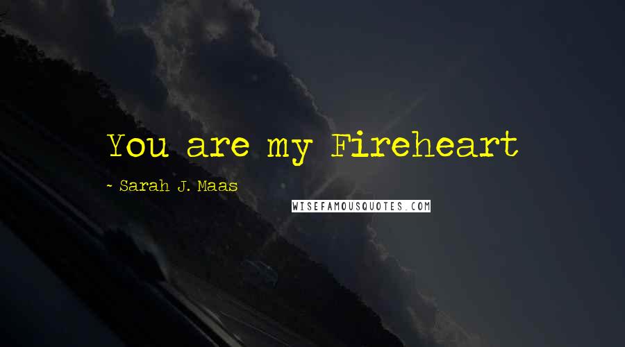 Sarah J. Maas Quotes: You are my Fireheart