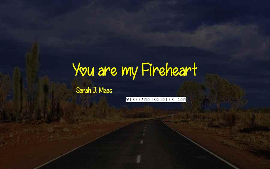 Sarah J. Maas Quotes: You are my Fireheart