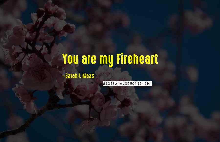 Sarah J. Maas Quotes: You are my Fireheart