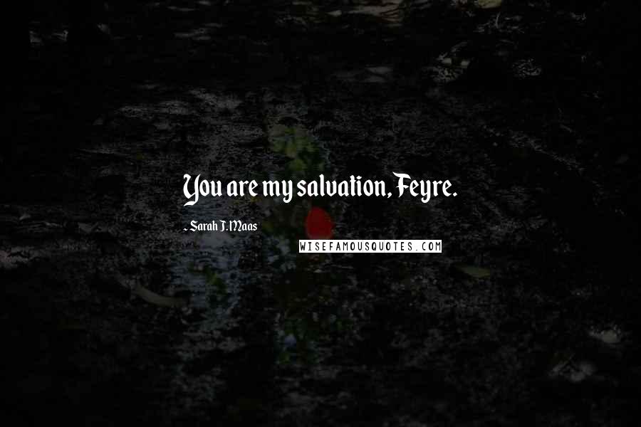 Sarah J. Maas Quotes: You are my salvation, Feyre.