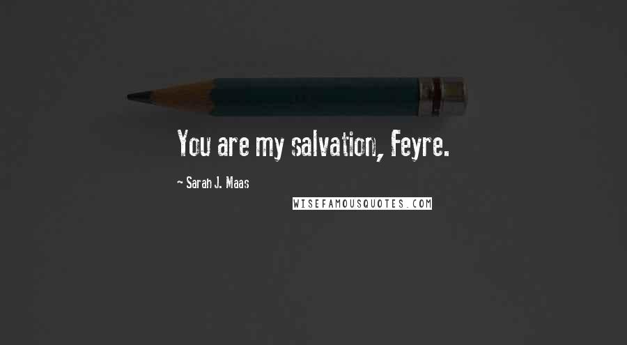 Sarah J. Maas Quotes: You are my salvation, Feyre.
