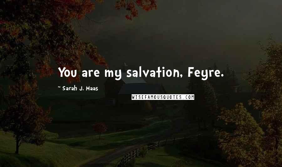 Sarah J. Maas Quotes: You are my salvation, Feyre.
