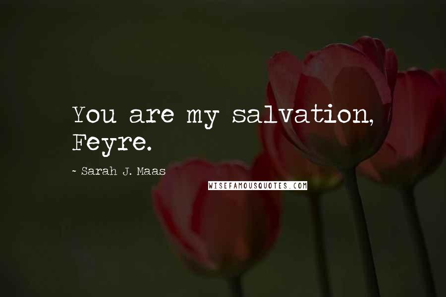 Sarah J. Maas Quotes: You are my salvation, Feyre.