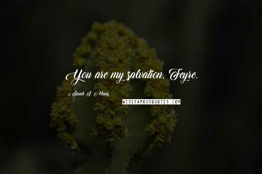 Sarah J. Maas Quotes: You are my salvation, Feyre.