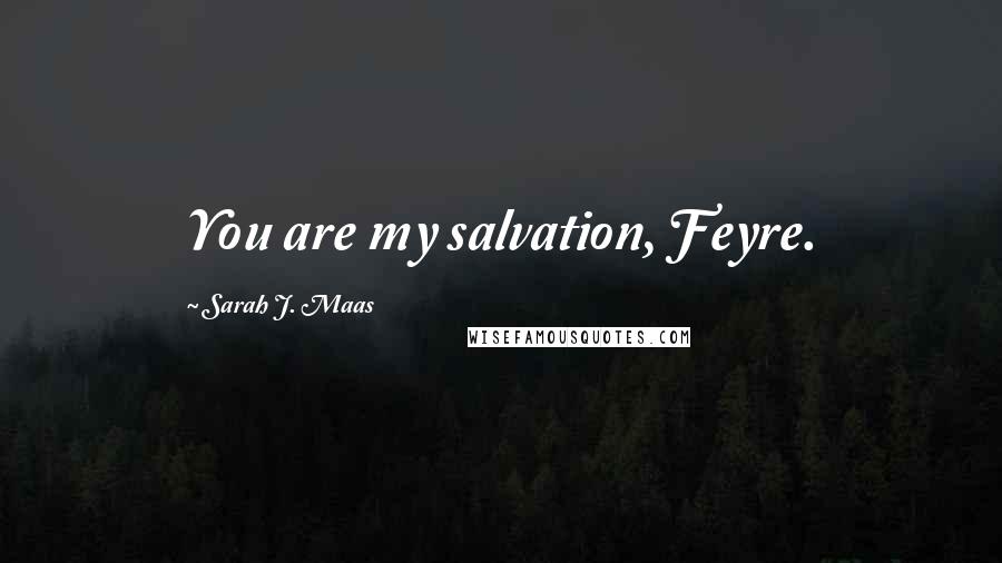 Sarah J. Maas Quotes: You are my salvation, Feyre.
