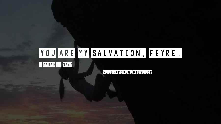 Sarah J. Maas Quotes: You are my salvation, Feyre.