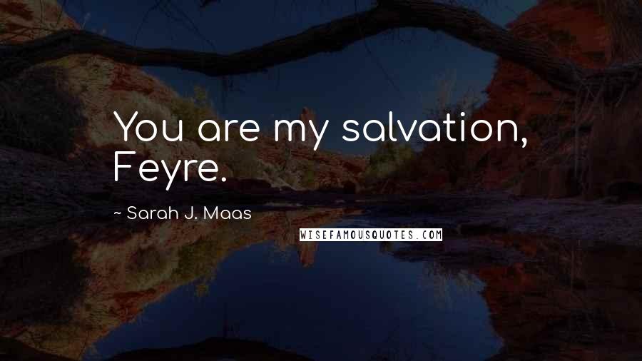 Sarah J. Maas Quotes: You are my salvation, Feyre.
