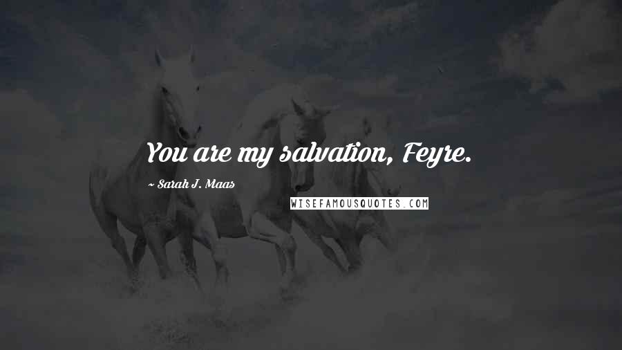 Sarah J. Maas Quotes: You are my salvation, Feyre.