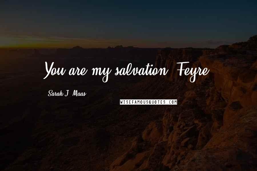 Sarah J. Maas Quotes: You are my salvation, Feyre.