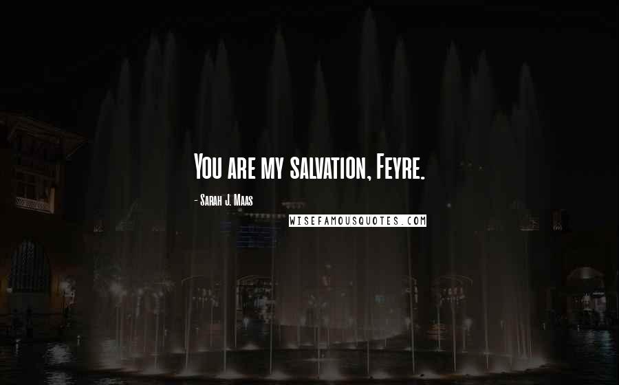 Sarah J. Maas Quotes: You are my salvation, Feyre.