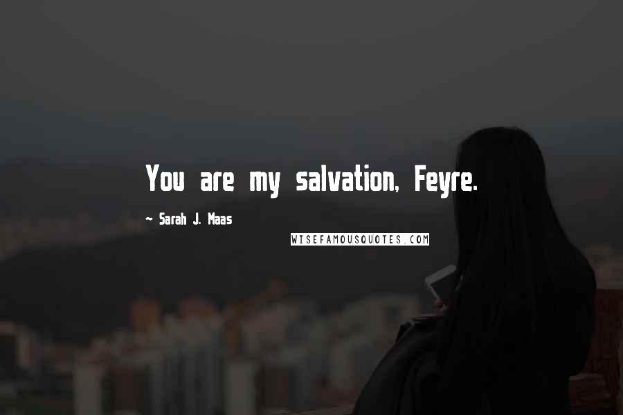 Sarah J. Maas Quotes: You are my salvation, Feyre.