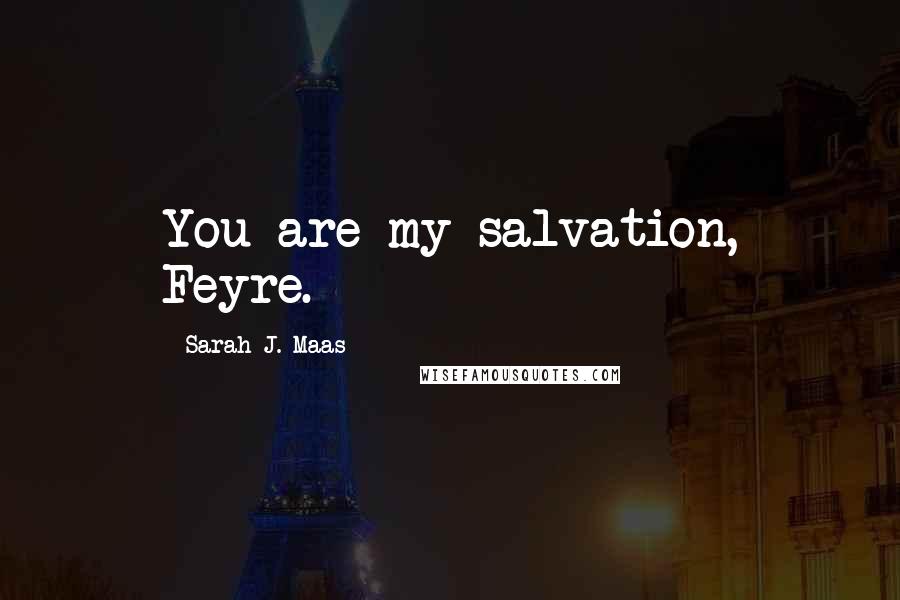 Sarah J. Maas Quotes: You are my salvation, Feyre.