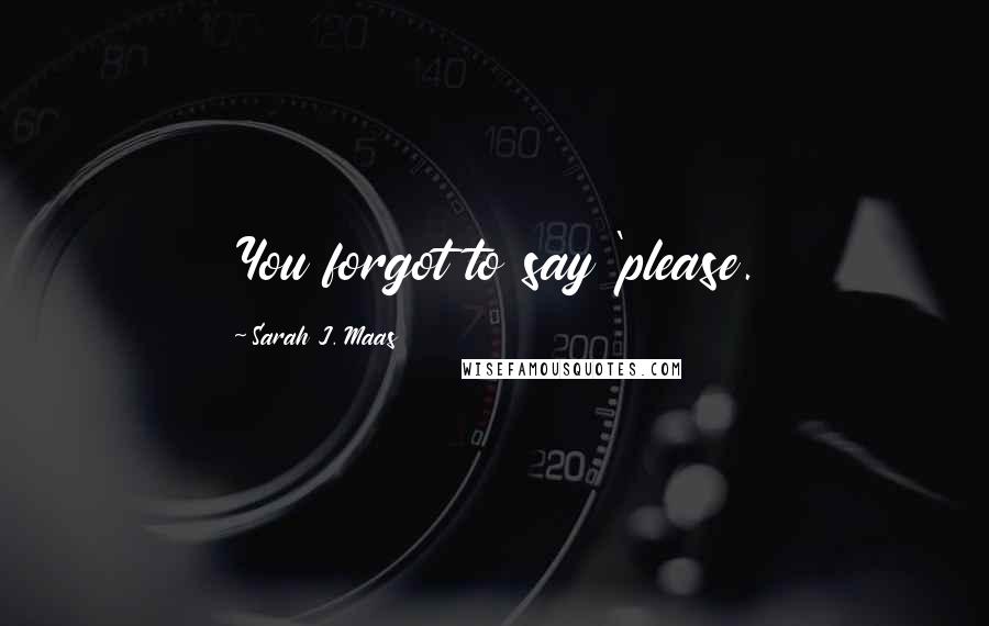 Sarah J. Maas Quotes: You forgot to say 'please.