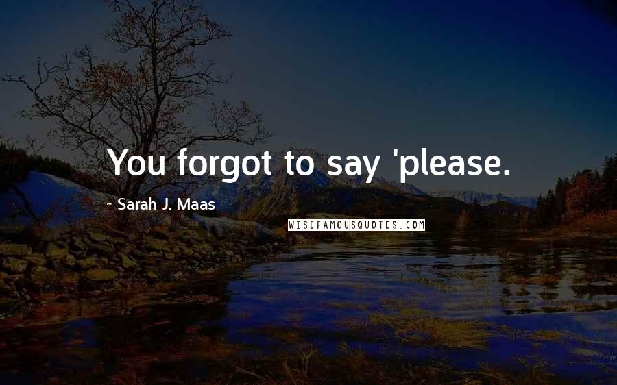 Sarah J. Maas Quotes: You forgot to say 'please.