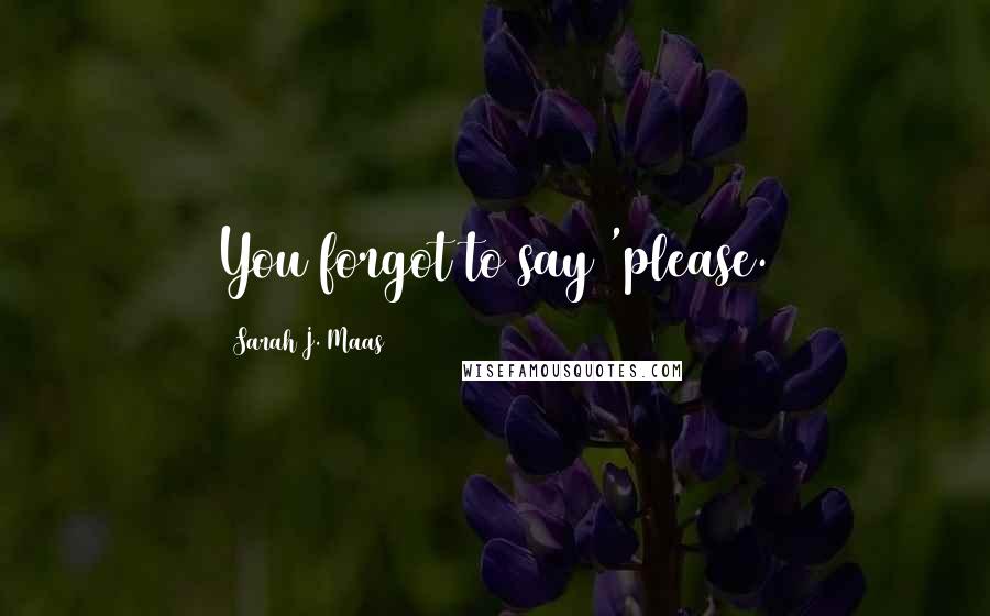 Sarah J. Maas Quotes: You forgot to say 'please.