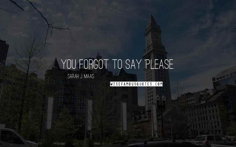 Sarah J. Maas Quotes: You forgot to say 'please.