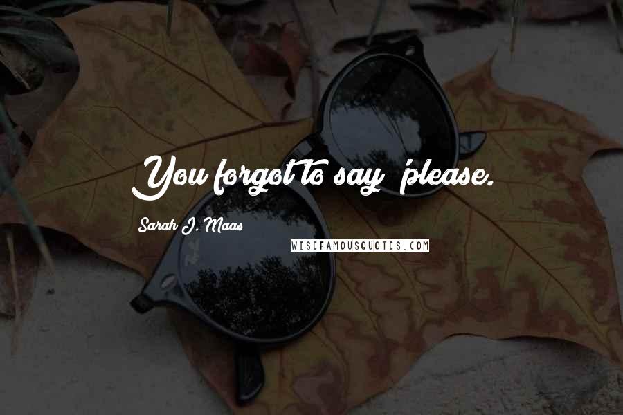Sarah J. Maas Quotes: You forgot to say 'please.