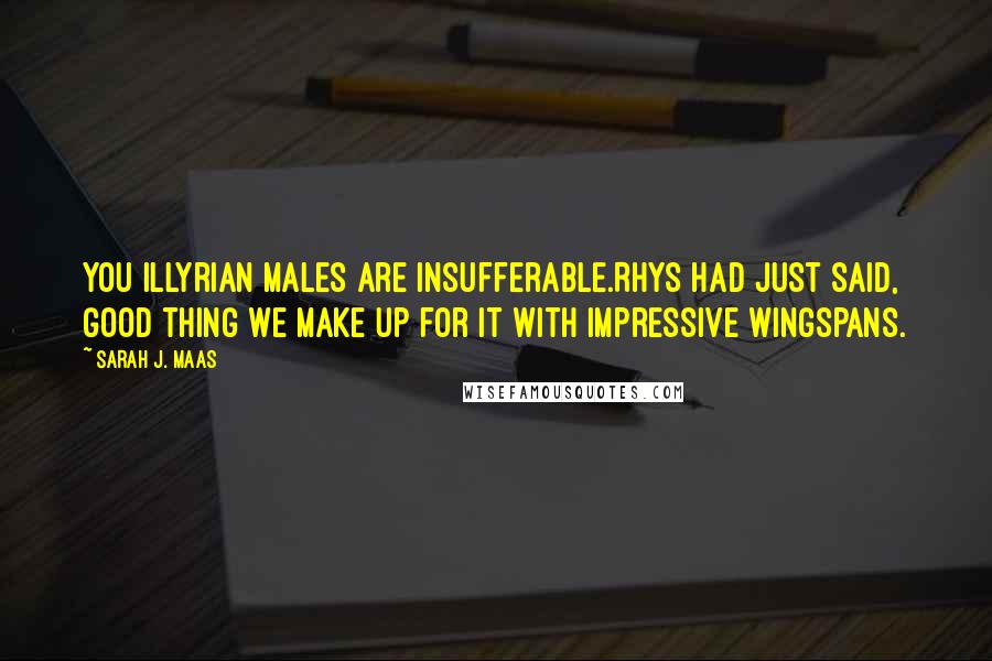 Sarah J. Maas Quotes: You Illyrian males are insufferable.Rhys had just said, Good thing we make up for it with impressive wingspans.