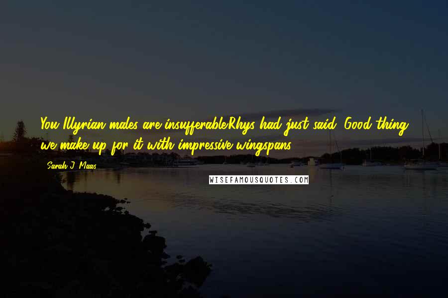 Sarah J. Maas Quotes: You Illyrian males are insufferable.Rhys had just said, Good thing we make up for it with impressive wingspans.