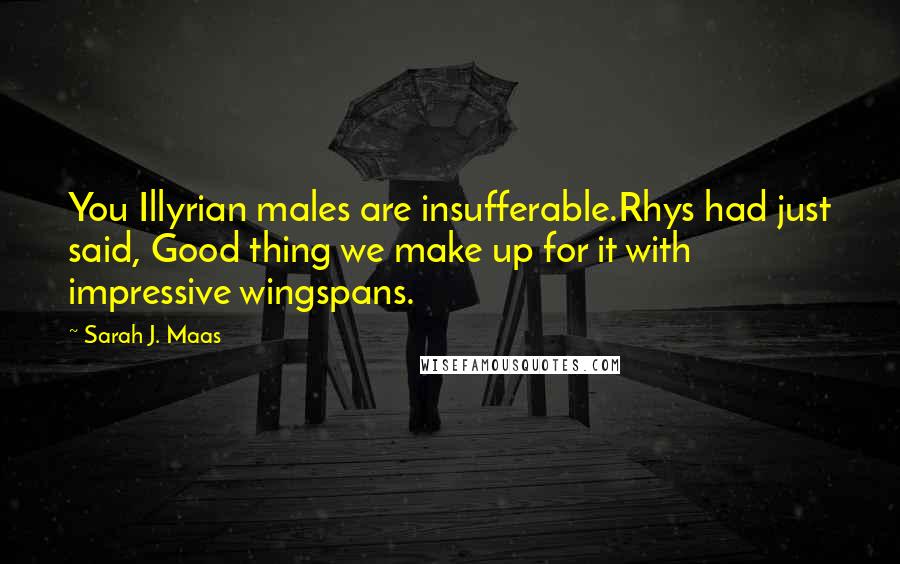 Sarah J. Maas Quotes: You Illyrian males are insufferable.Rhys had just said, Good thing we make up for it with impressive wingspans.