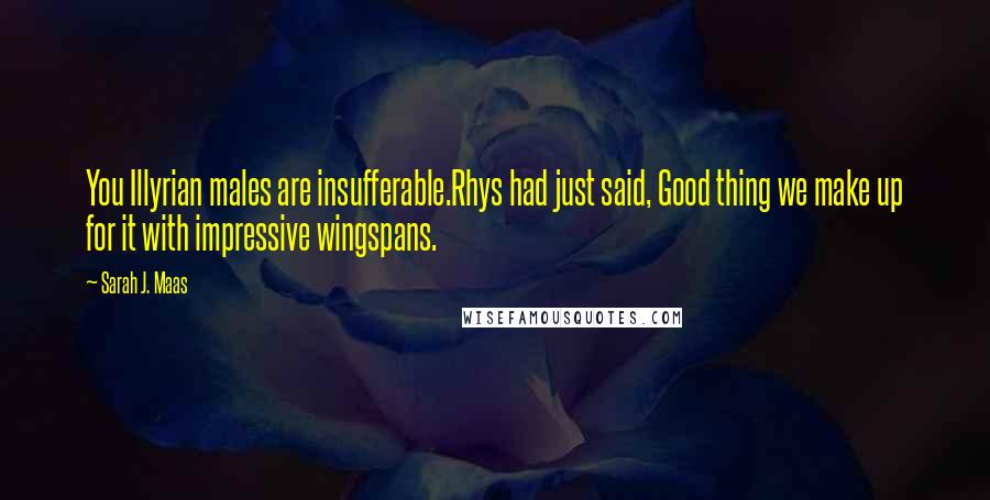 Sarah J. Maas Quotes: You Illyrian males are insufferable.Rhys had just said, Good thing we make up for it with impressive wingspans.