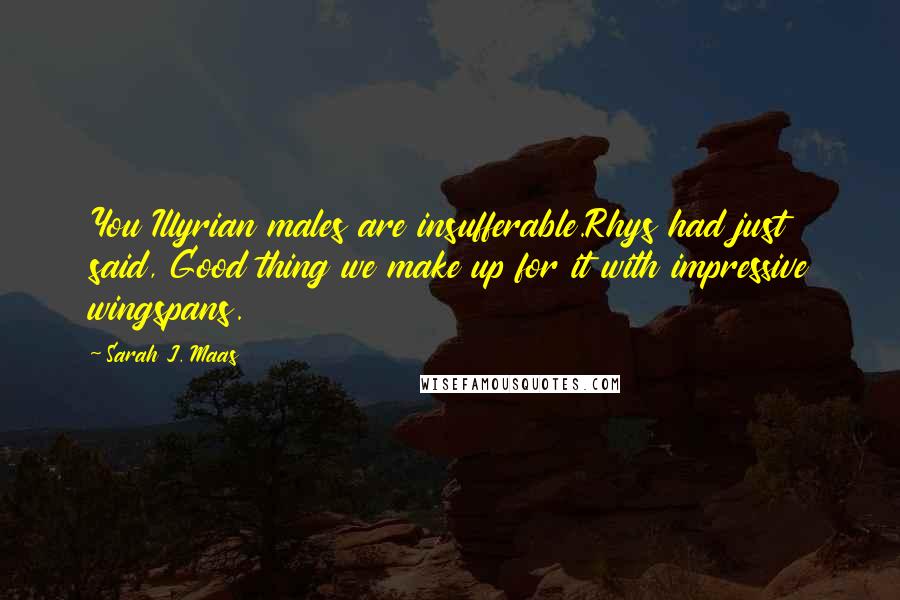 Sarah J. Maas Quotes: You Illyrian males are insufferable.Rhys had just said, Good thing we make up for it with impressive wingspans.