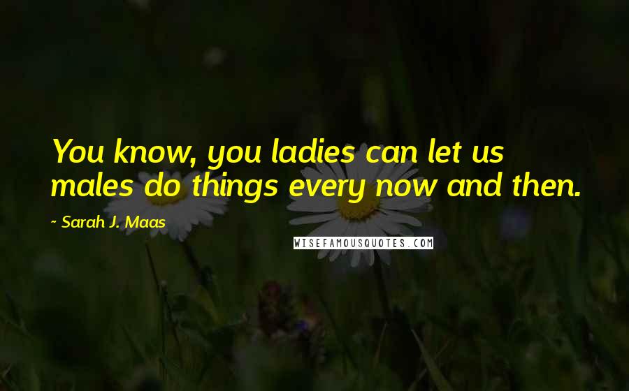 Sarah J. Maas Quotes: You know, you ladies can let us males do things every now and then.