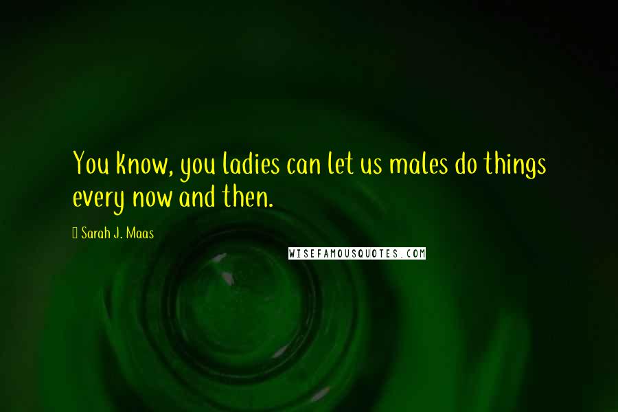 Sarah J. Maas Quotes: You know, you ladies can let us males do things every now and then.