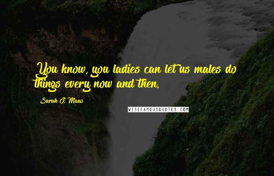 Sarah J. Maas Quotes: You know, you ladies can let us males do things every now and then.