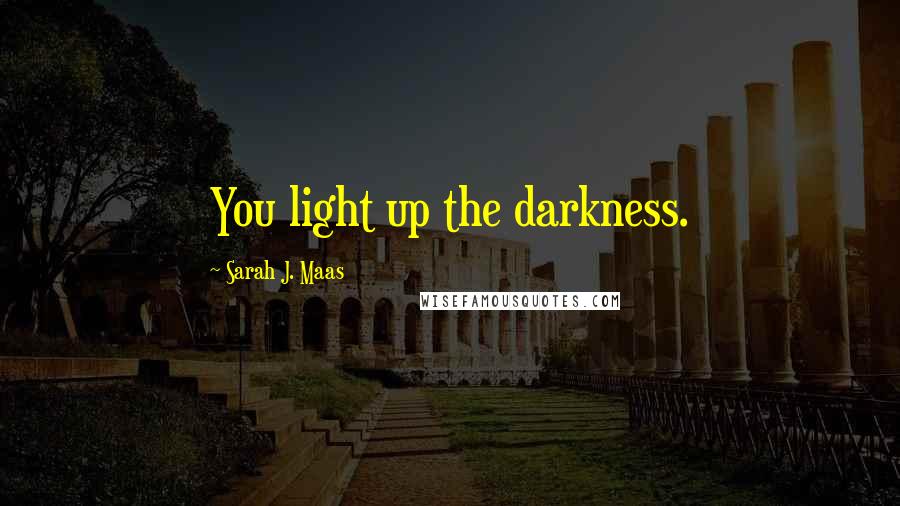 Sarah J. Maas Quotes: You light up the darkness.