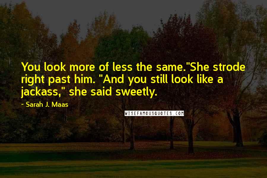 Sarah J. Maas Quotes: You look more of less the same."She strode right past him. "And you still look like a jackass," she said sweetly.