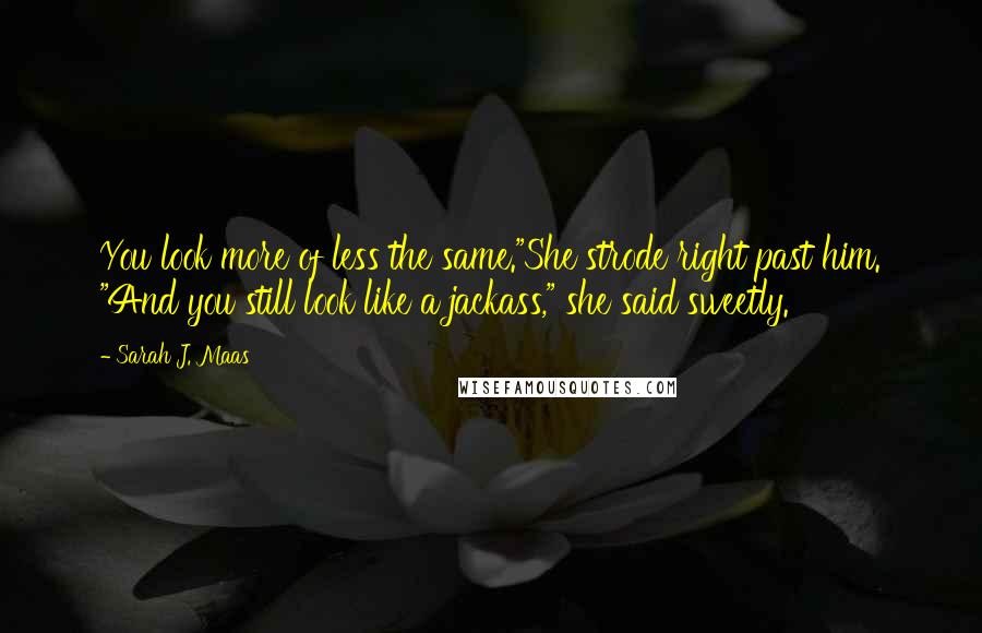 Sarah J. Maas Quotes: You look more of less the same."She strode right past him. "And you still look like a jackass," she said sweetly.