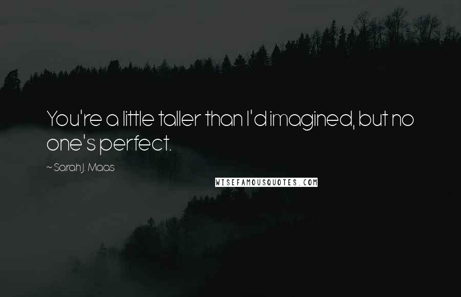 Sarah J. Maas Quotes: You're a little taller than I'd imagined, but no one's perfect.