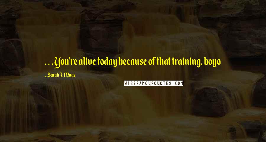 Sarah J. Maas Quotes: . . . You're alive today because of that training, boyo