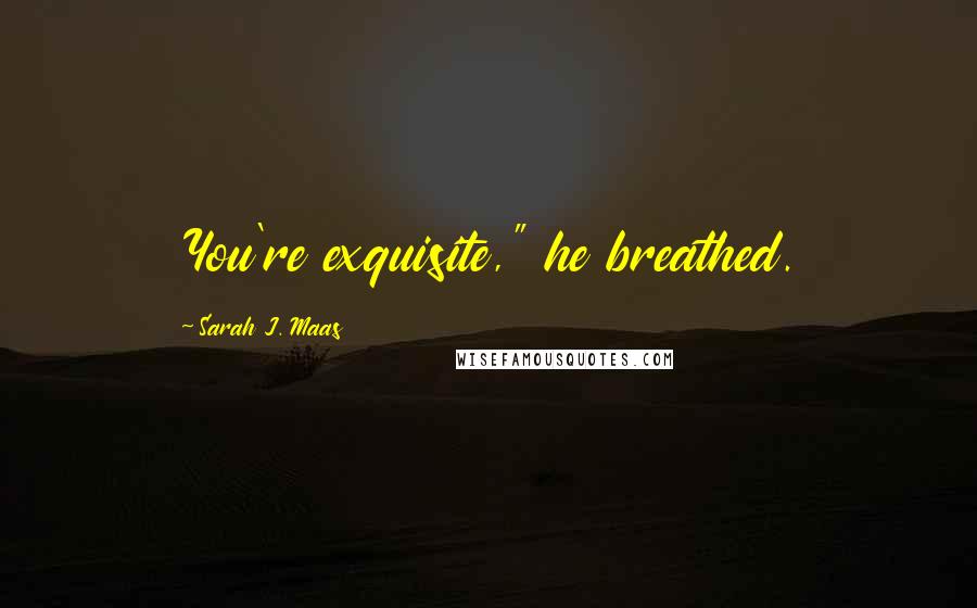 Sarah J. Maas Quotes: You're exquisite," he breathed.