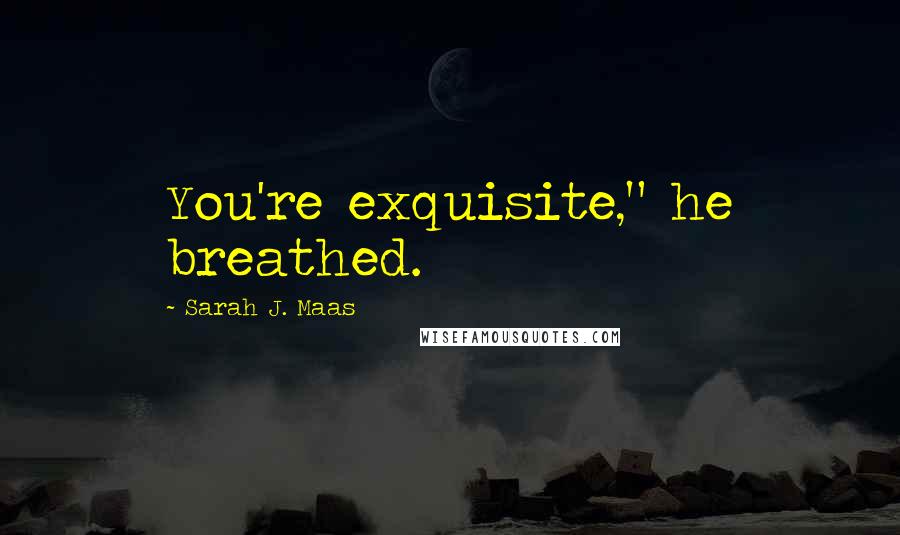 Sarah J. Maas Quotes: You're exquisite," he breathed.