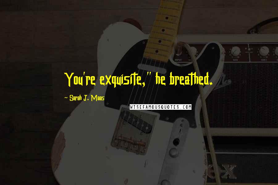 Sarah J. Maas Quotes: You're exquisite," he breathed.