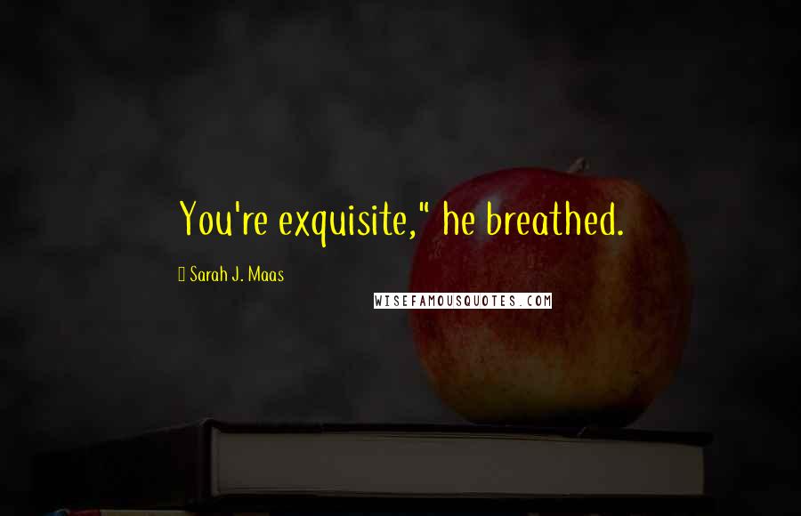 Sarah J. Maas Quotes: You're exquisite," he breathed.