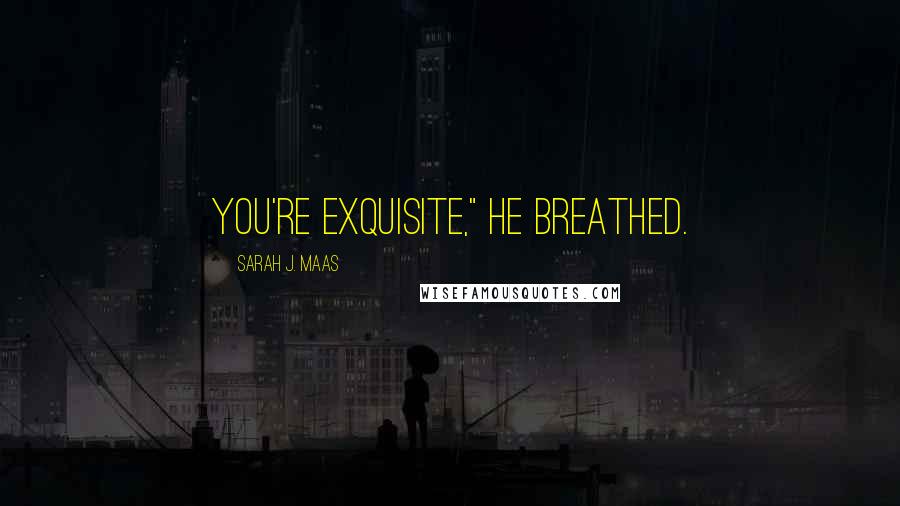 Sarah J. Maas Quotes: You're exquisite," he breathed.