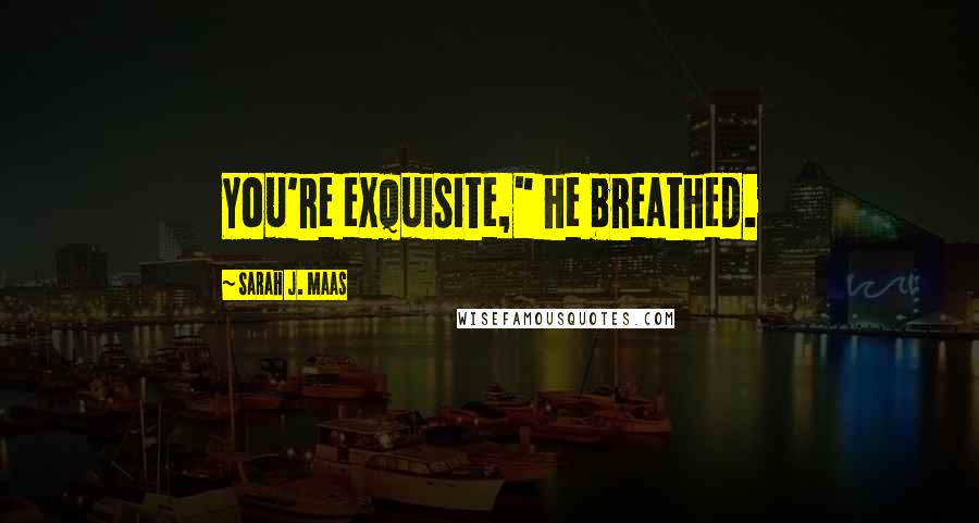 Sarah J. Maas Quotes: You're exquisite," he breathed.