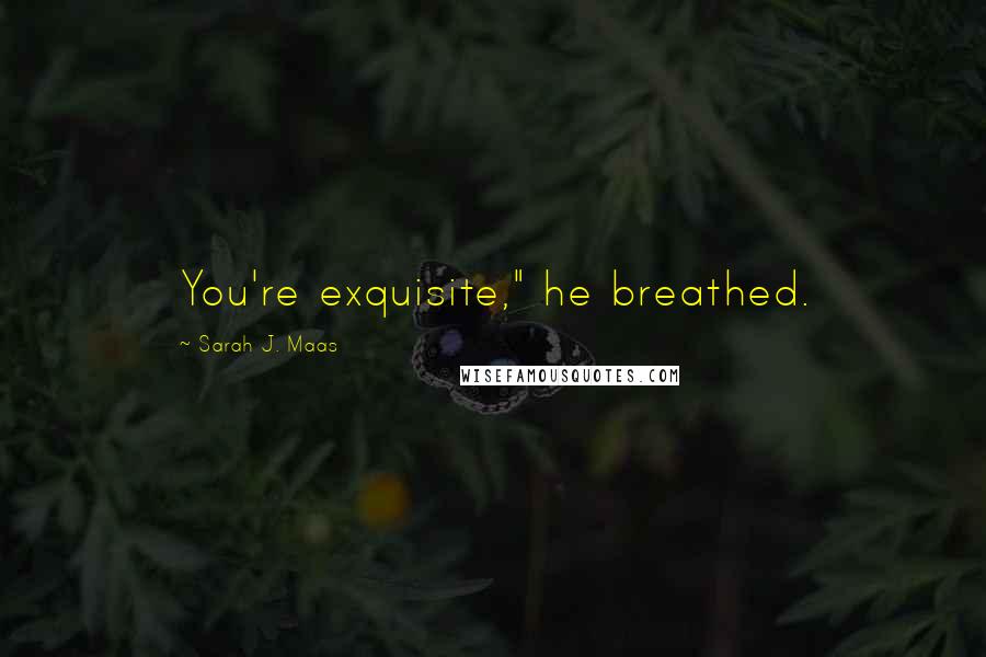 Sarah J. Maas Quotes: You're exquisite," he breathed.