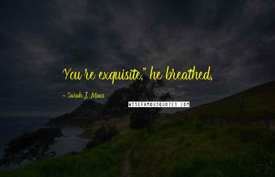 Sarah J. Maas Quotes: You're exquisite," he breathed.