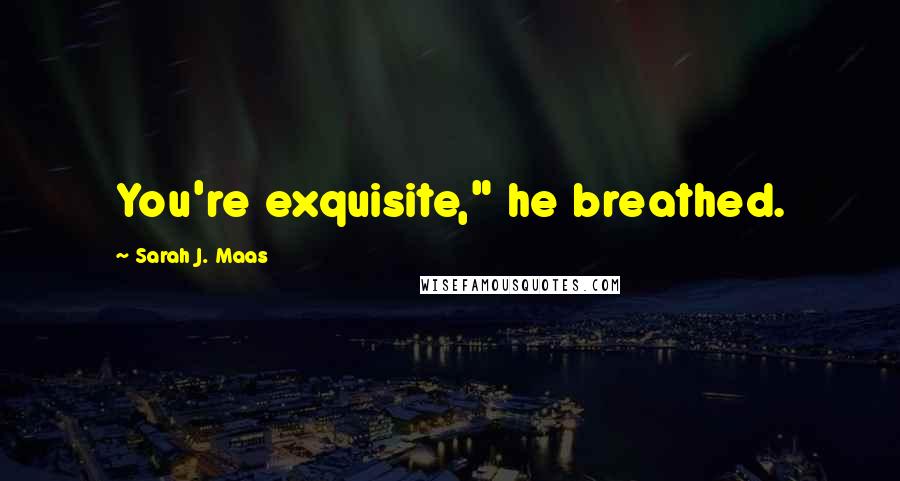 Sarah J. Maas Quotes: You're exquisite," he breathed.