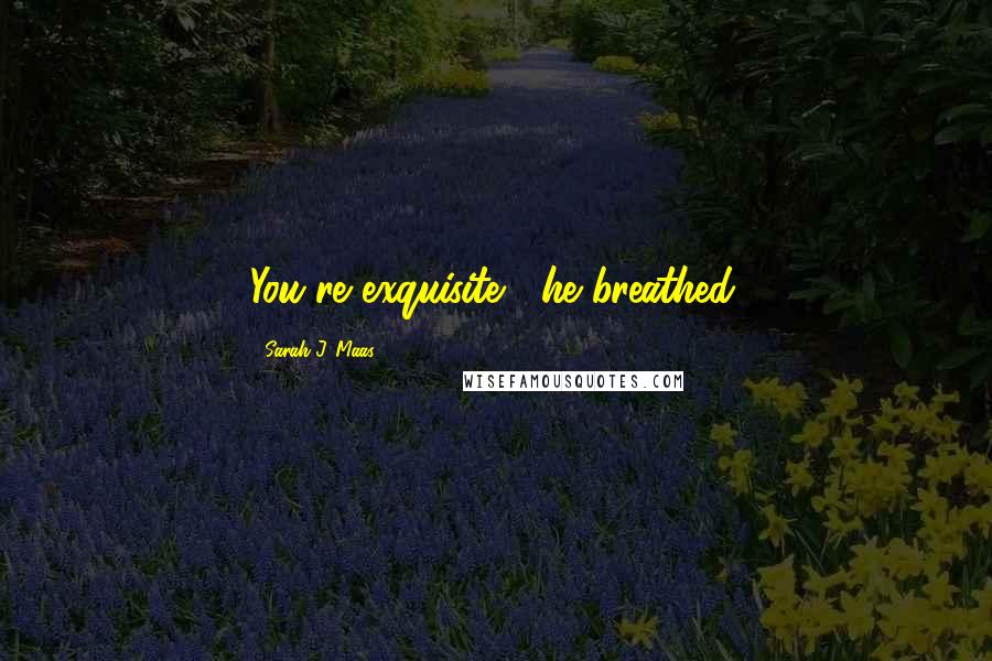 Sarah J. Maas Quotes: You're exquisite," he breathed.