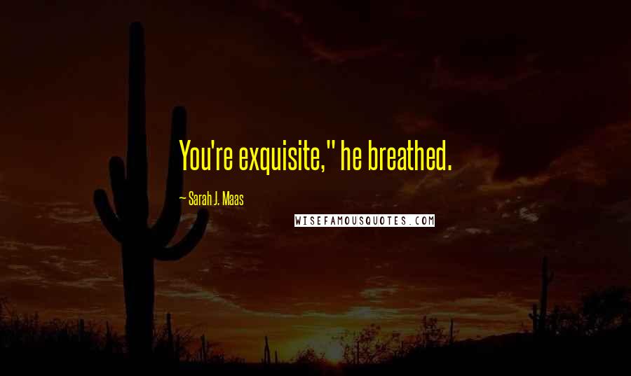 Sarah J. Maas Quotes: You're exquisite," he breathed.