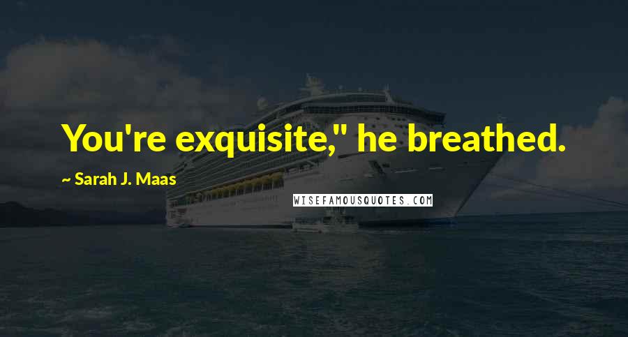 Sarah J. Maas Quotes: You're exquisite," he breathed.