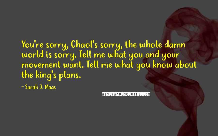 Sarah J. Maas Quotes: You're sorry, Chaol's sorry, the whole damn world is sorry. Tell me what you and your movement want. Tell me what you know about the king's plans.