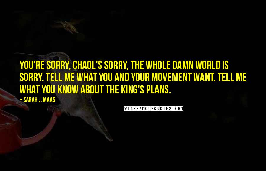 Sarah J. Maas Quotes: You're sorry, Chaol's sorry, the whole damn world is sorry. Tell me what you and your movement want. Tell me what you know about the king's plans.